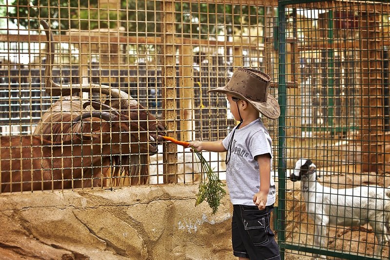 Dubai Zoo, Dubai