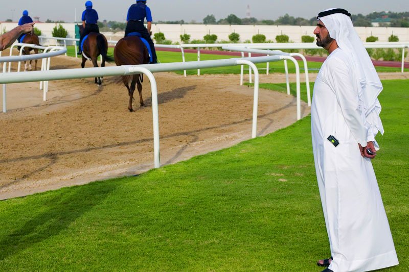 Horses prepare for the Dubai World Cup., Dubai