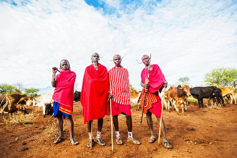 Maasai traditionally wear red tunic and hold a spear at the ready, Arusha