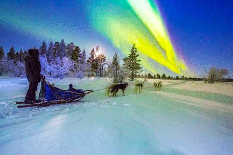 Husky ride to the polar light, Rovaniemi