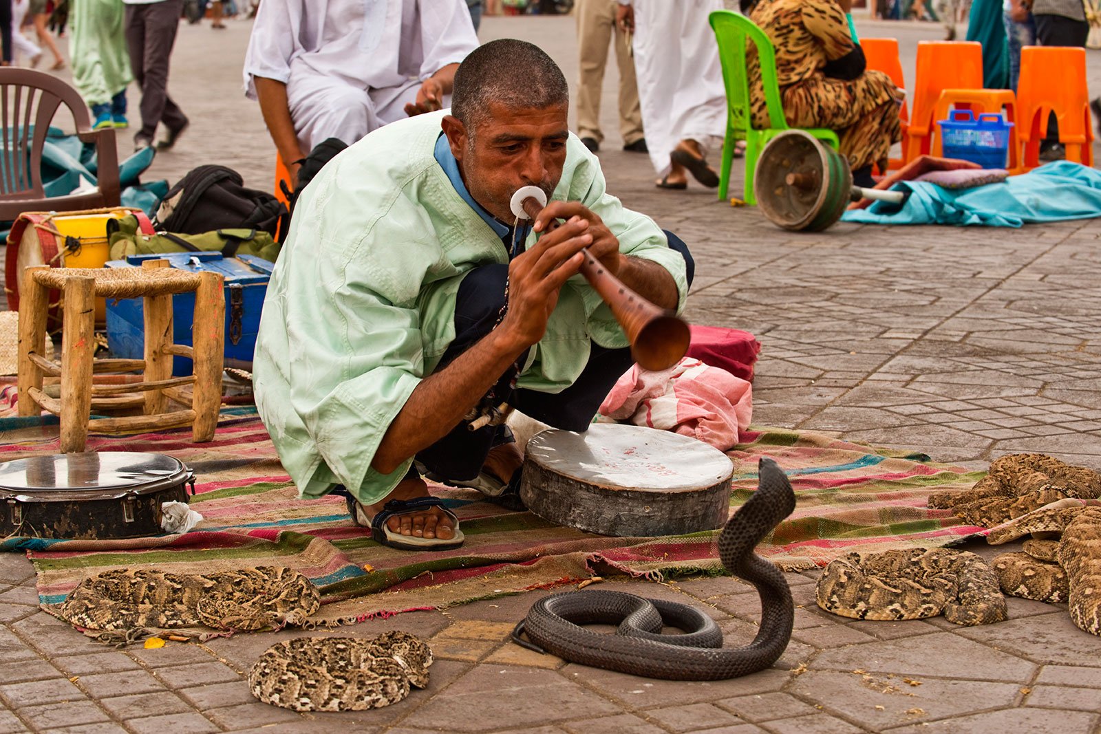 How to see snake charmers in Marrakesh