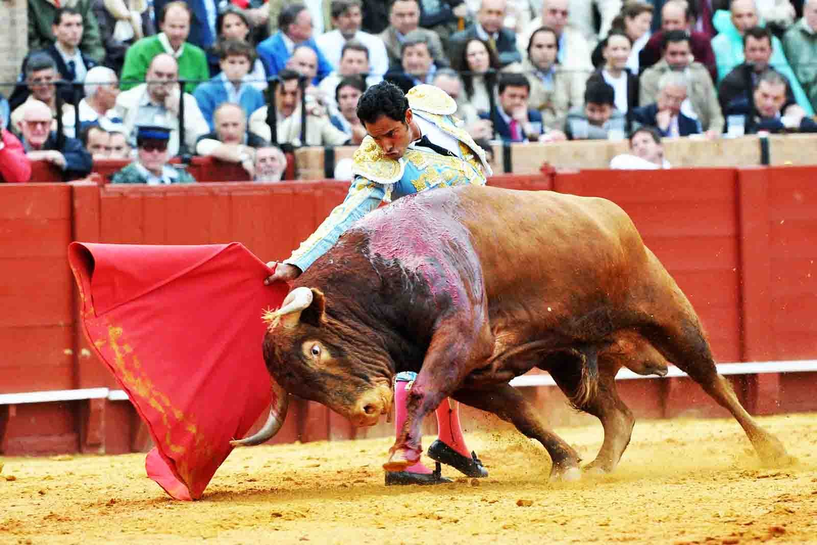 How to see corrida in Seville