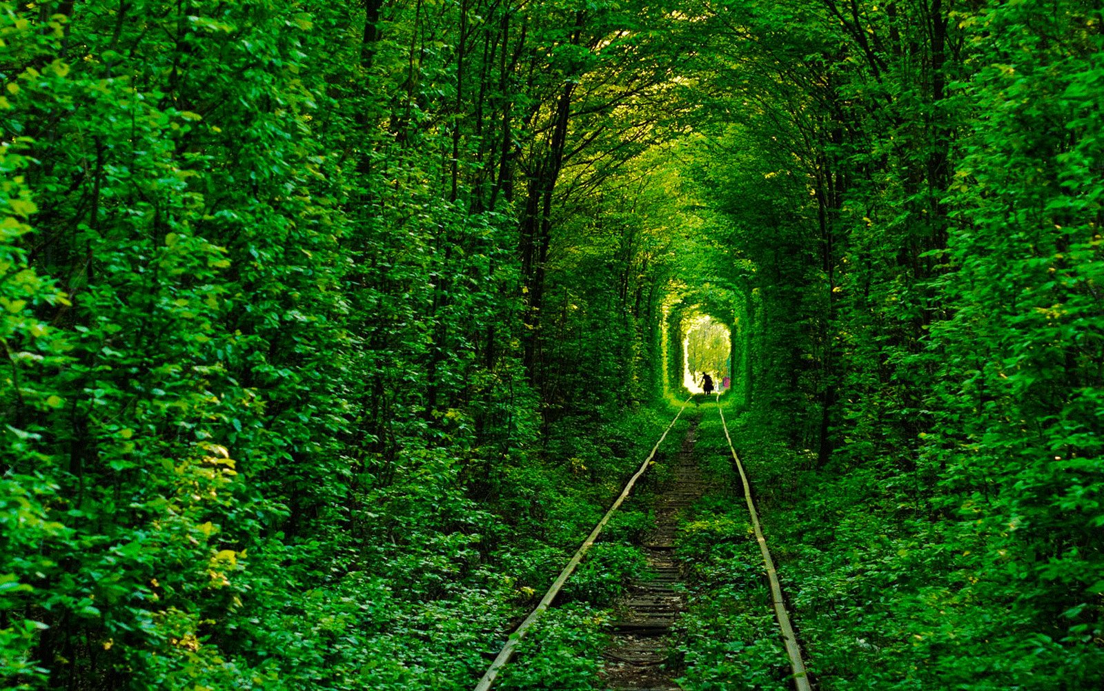 How to walk through Tunnel of Love in Rovno