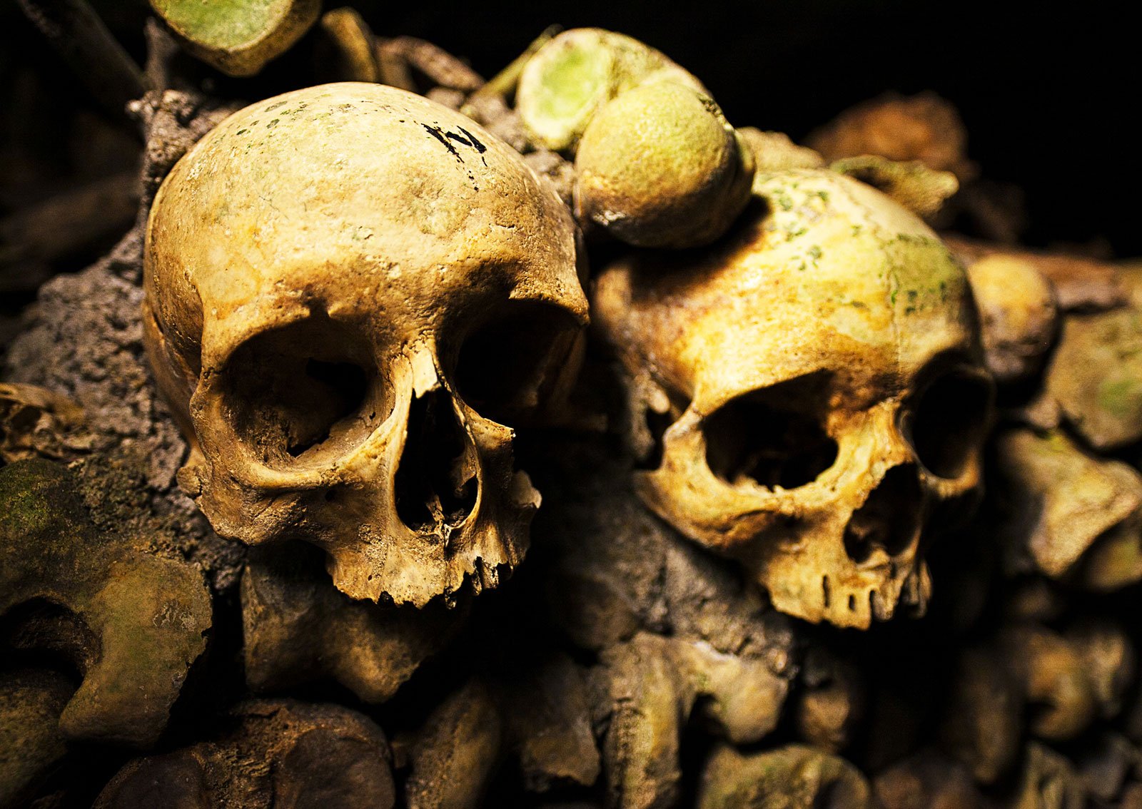 How to see human skulls under ground in Paris