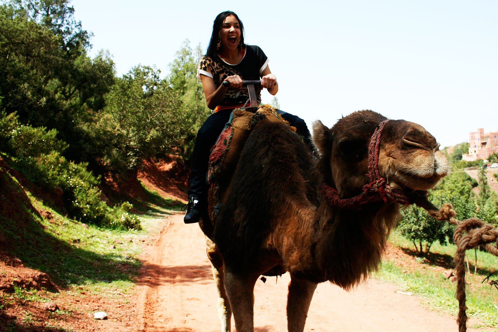 How to take a camel ride in the Atlas Mountains in Marrakesh