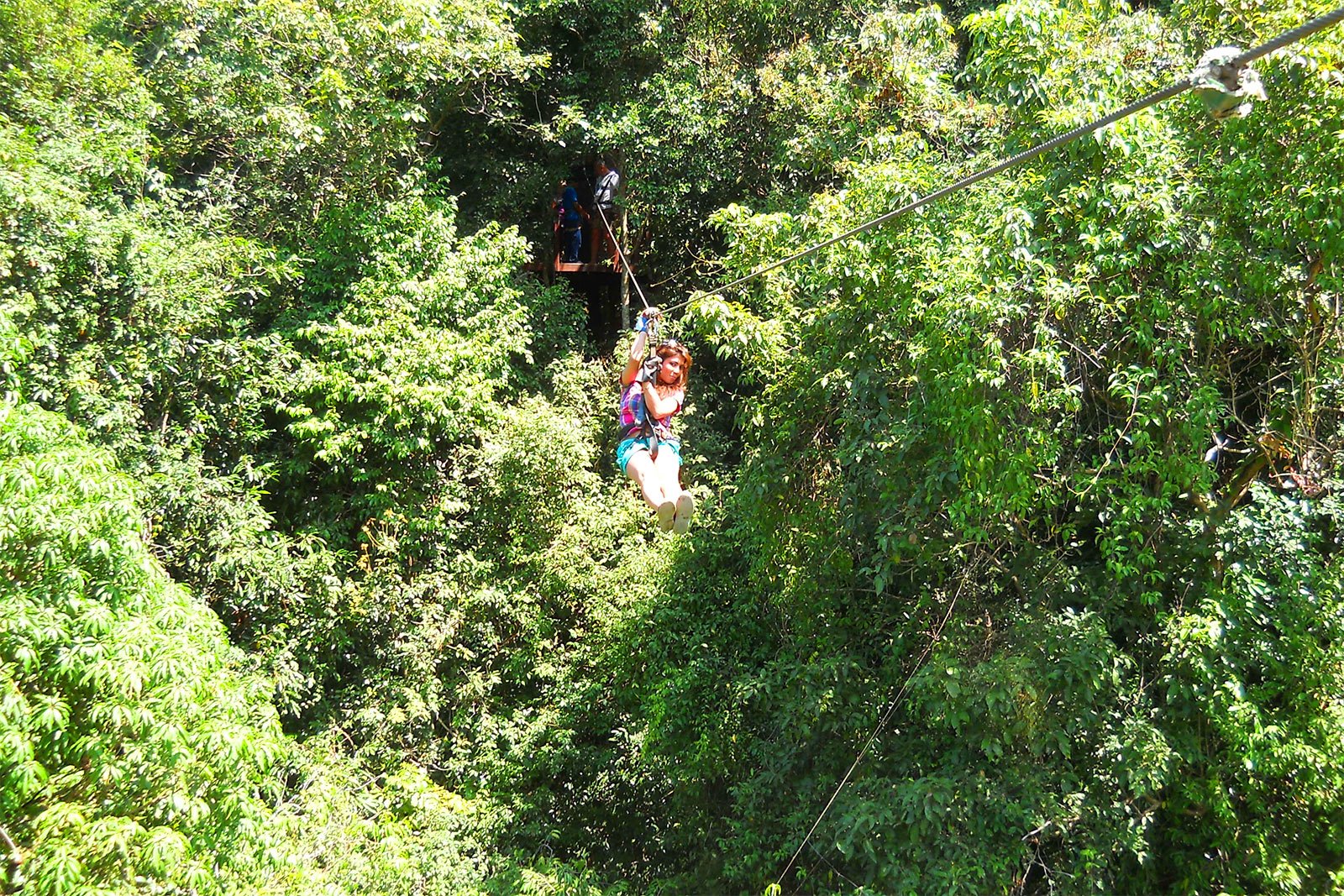 How to fly through the jungle on a cable on Koh Samui