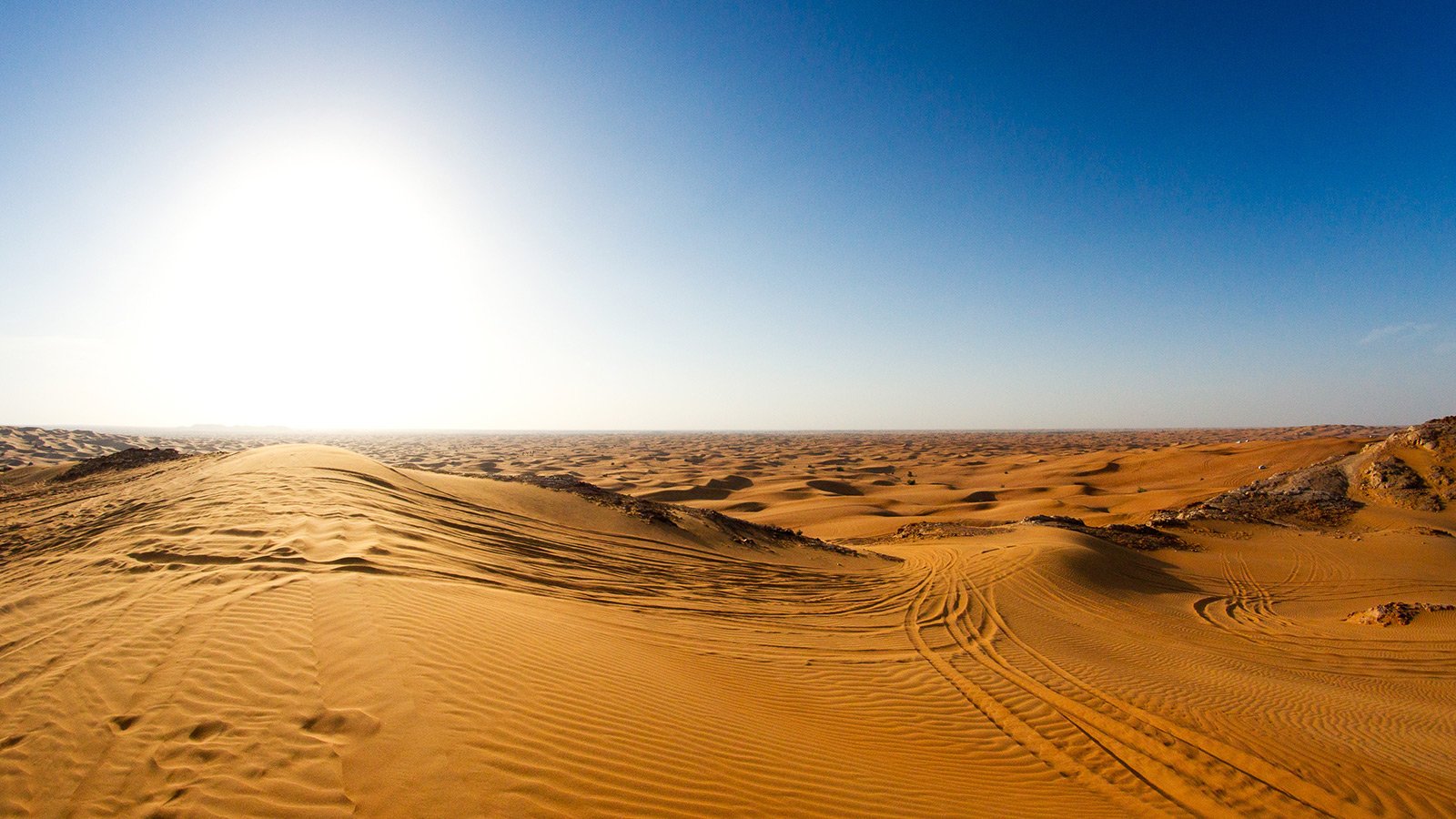 How to visit the Desert Conservation Reserve in Dubai