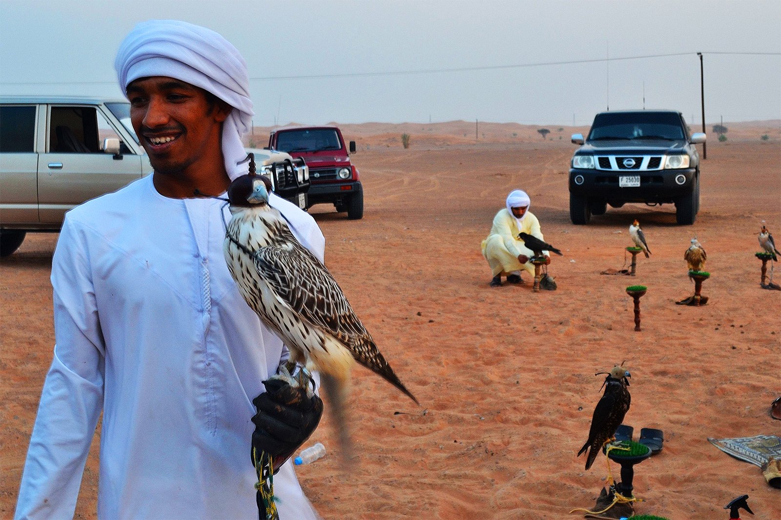 How to attend falconry in Dubai