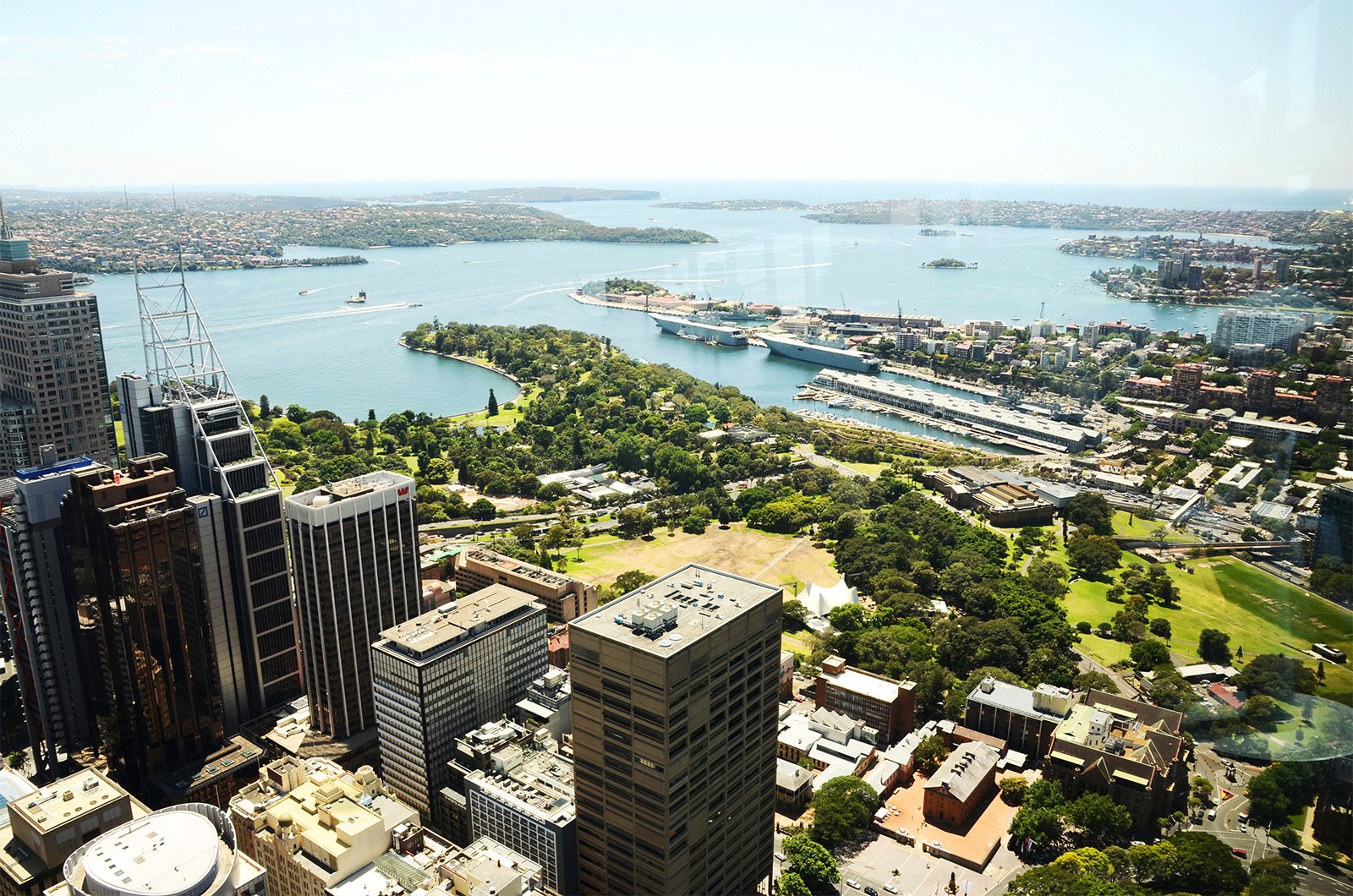 How to come on up to Sydney Tower Eye in Sydney