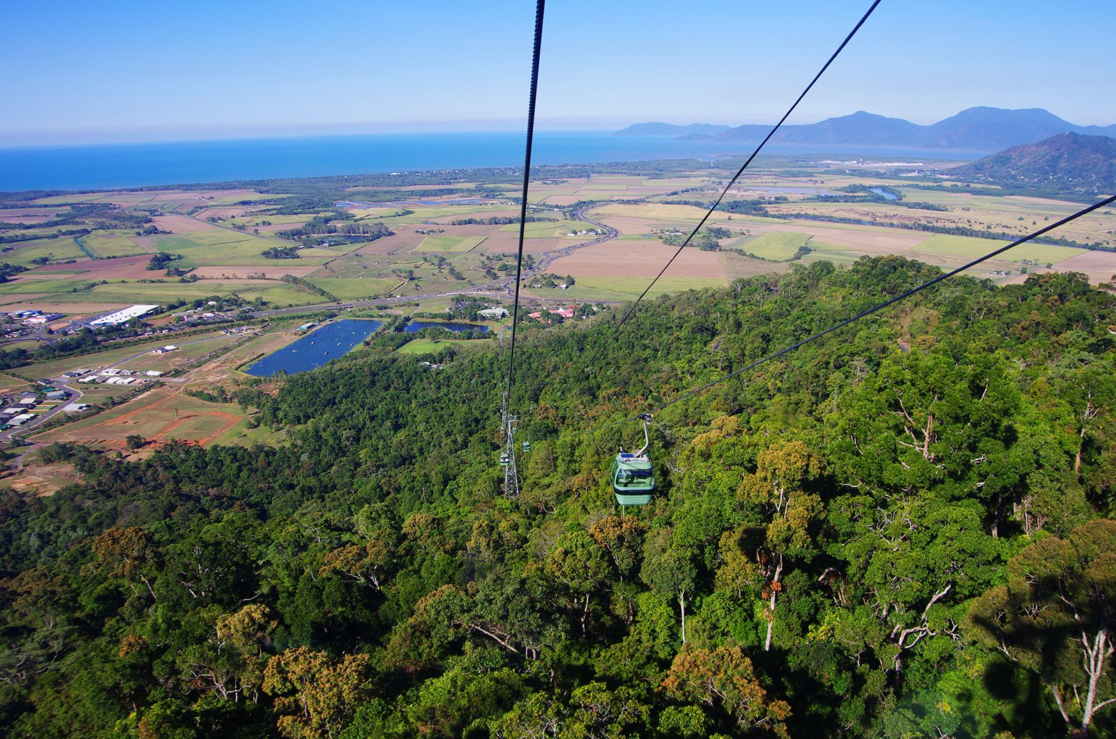 How to take a ride on the cableway over the tropical forest in Cairns