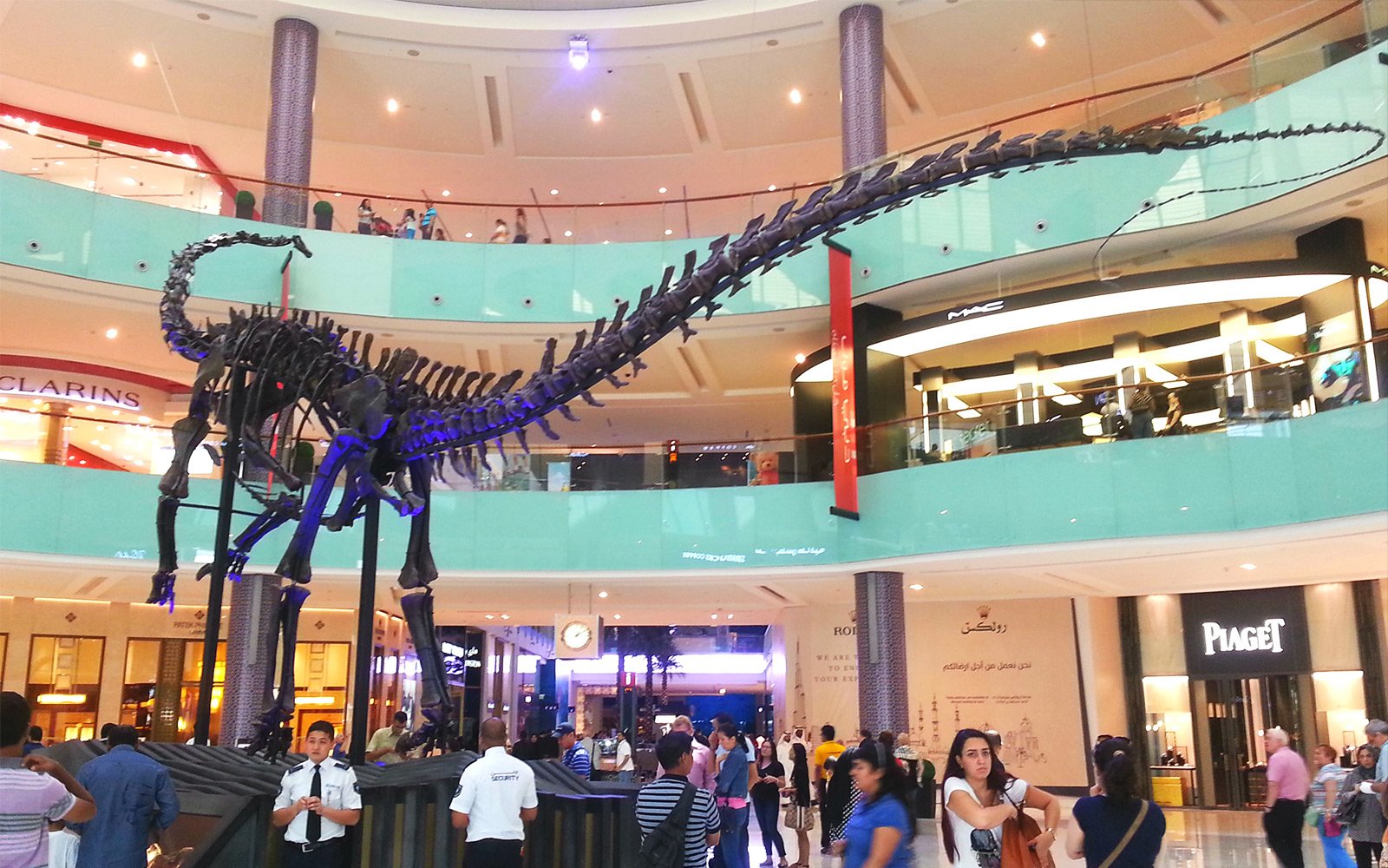 How to see a skeleton of a gigantic 155,000,000-year-old dinosaur in Dubai