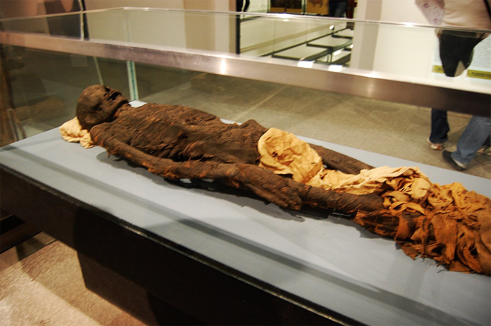 How to see Egyptian mummies in Milan