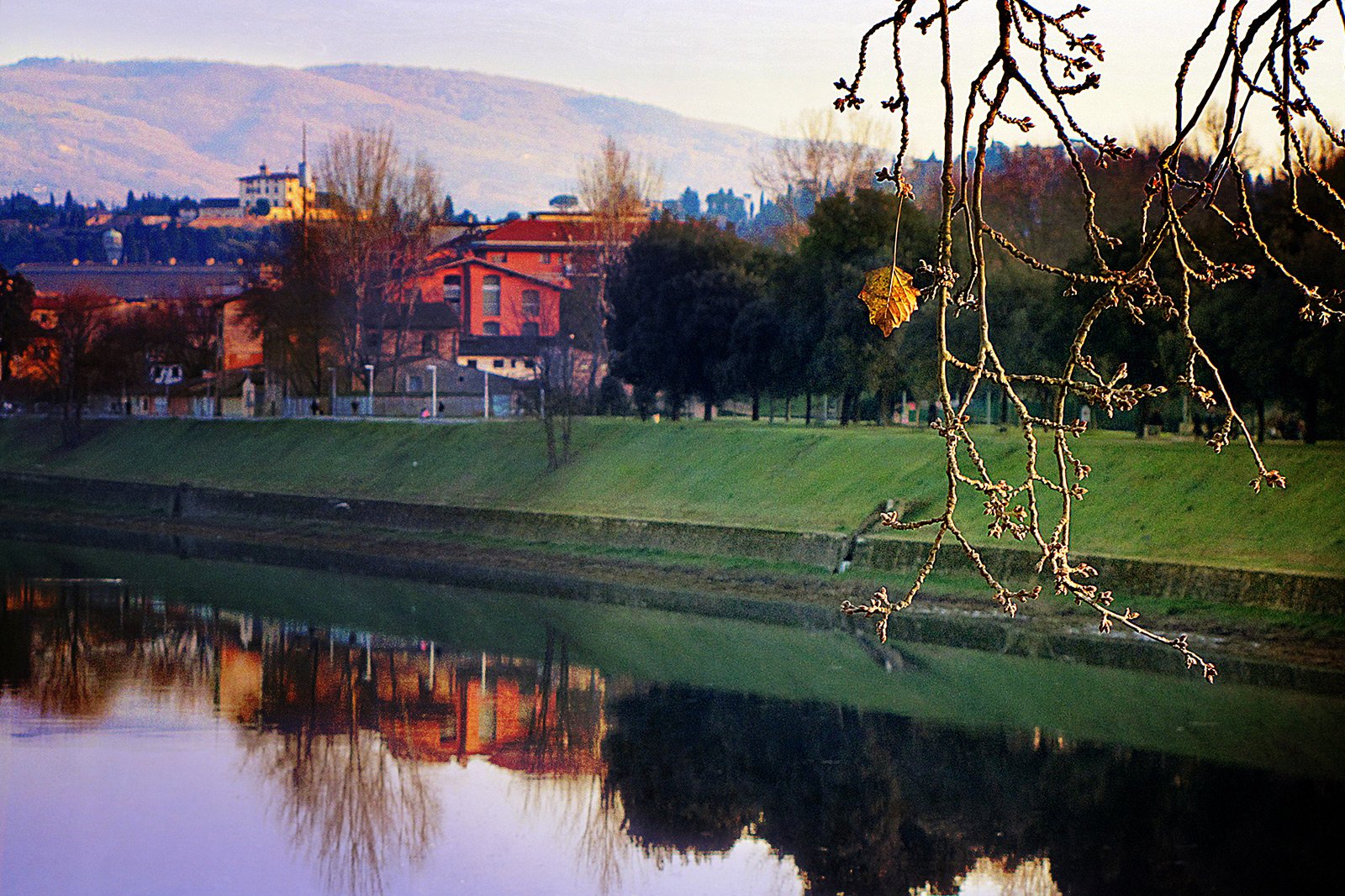 How to take a walk in the Cascine Park in Florence