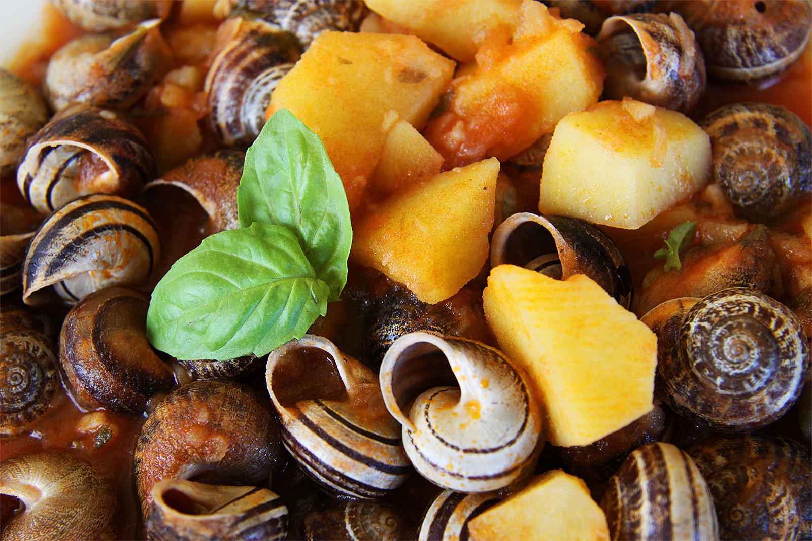 How to try snails on Sardinia