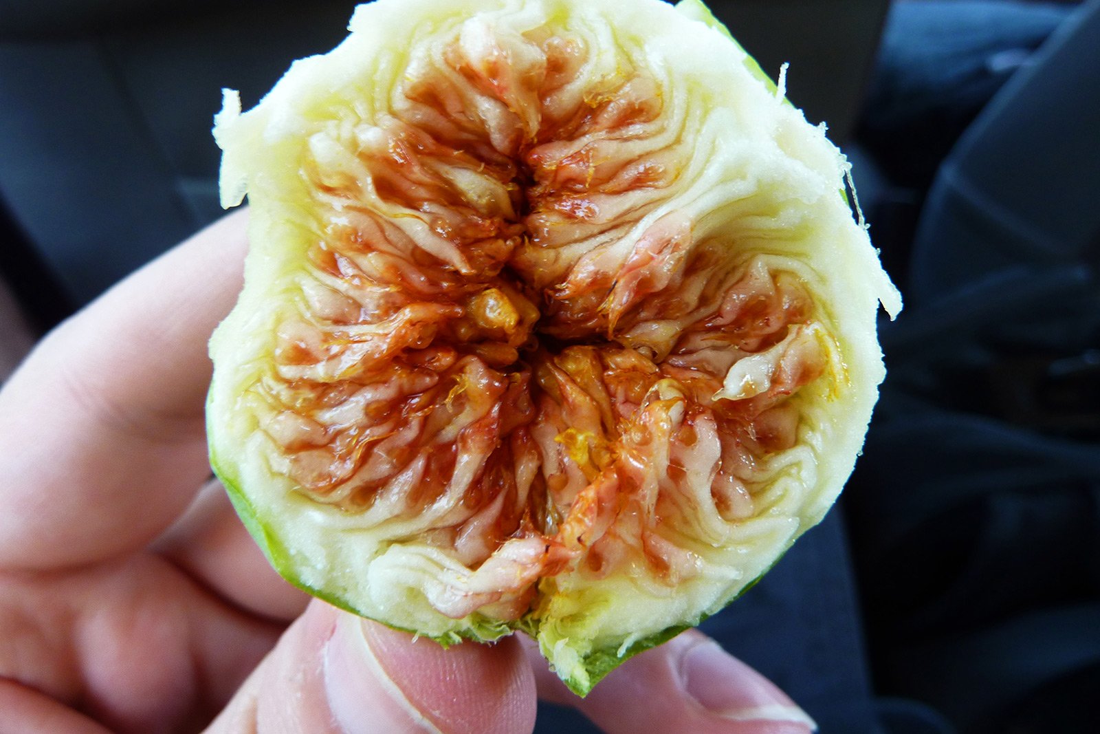 How to eat figs on Crete