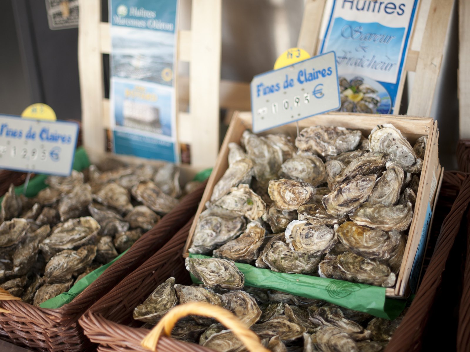 How to try oysters in Paris