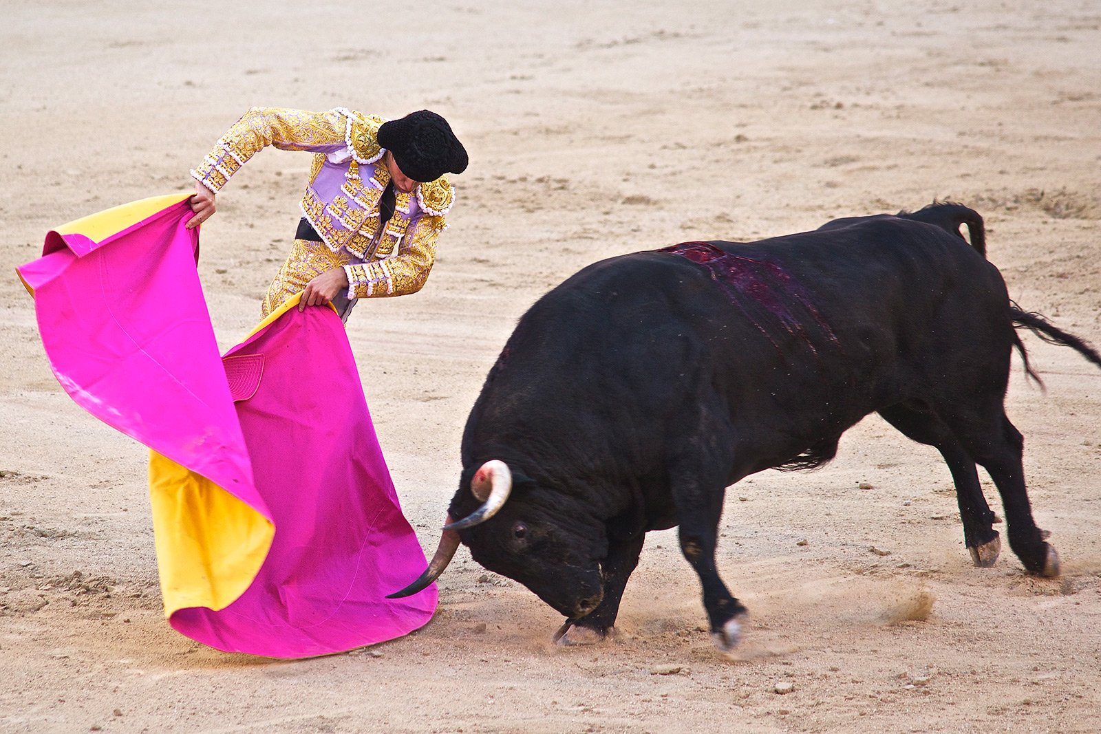 How to see a bullfight in Madrid