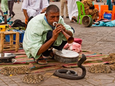 See snake charmers in Marrakesh