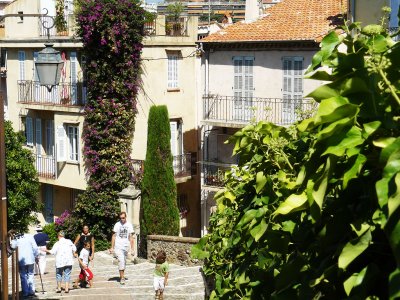 Walk through the Old City in Cannes