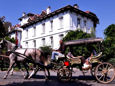 Ride the horse cart in Istanbul
