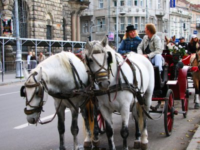 Take a horse carriage ride in Lviv