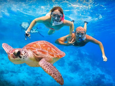 Swim with turtles in Galle