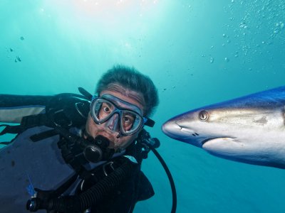 Dive into the aquarium with sharks in Pattaya