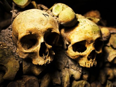 See human skulls under ground in Paris
