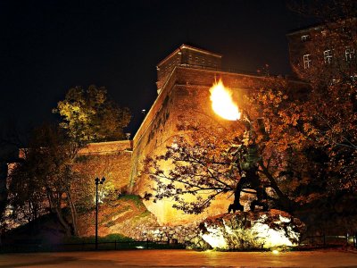 See the Wawel Dragon breathing fire in Krakow