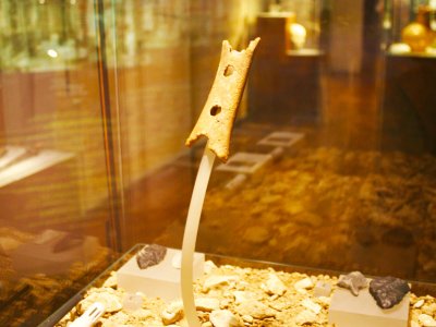 See 45,000,000-year-old flute in Ljubljana