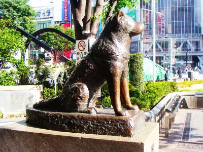 See the monument to the most faithful dog Hachiko in Tokyo