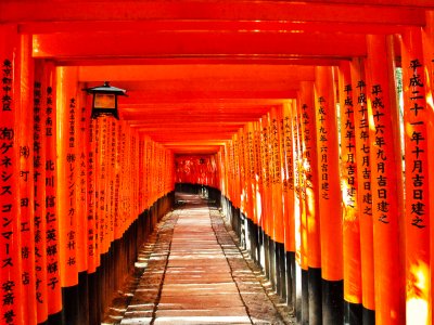 Walk through 4000-meter-long torii tunnel in Kioto