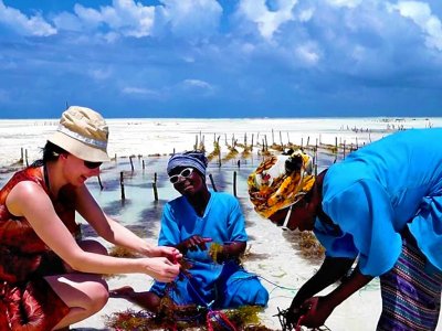 Plant seaweed in the ocean on Zanzibar