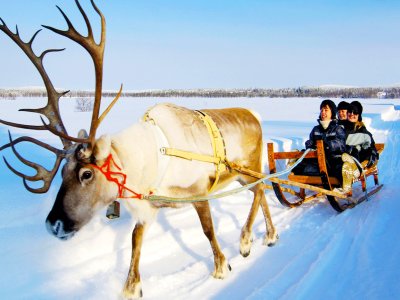 Take a reindeer-drawn sledge ride beyond the polar circle in Rovaniemi