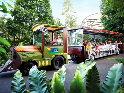 Get around Jurong Bird Park in a tram in Singapore