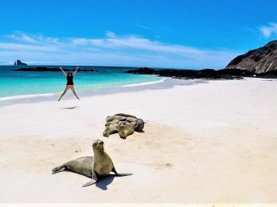 Sunbathe with seals on the beach in Galapagos Islands