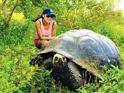 See the world's biggest tortoises in Galapagos Islands