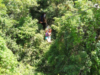 Fly through the jungle on a cable on Koh Samui
