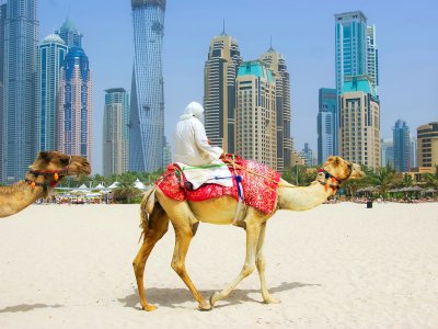 Ride a camel on Marina Beach in Dubai