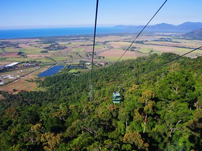 Take a ride on the cableway over the tropical forest in Cairns