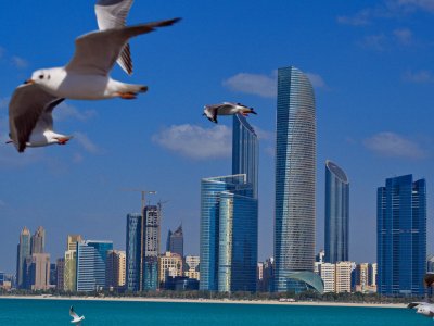 Feed seagulls at the gulf coast in Abu Dhabi