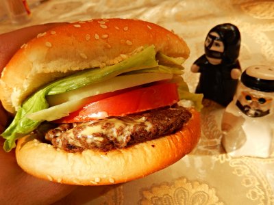Taste a camel burger – a sandwich with camel meat in Dubai