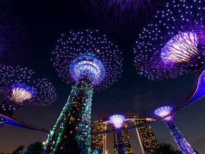 Catch the light and music show in Gardens by the Bay in Singapore