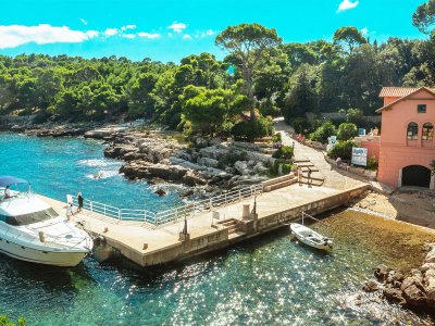 Go for a picnic on Lokrum Island in Dubrovnik