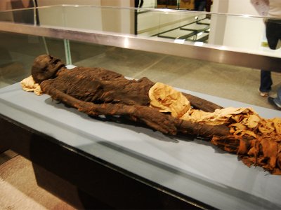 See Egyptian mummies in Milan