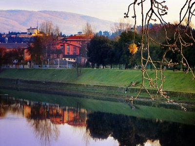 Take a walk in the Cascine Park in Florence