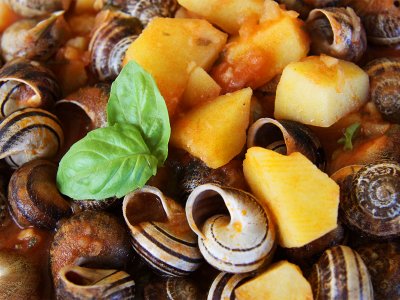 Try snails on Sardinia