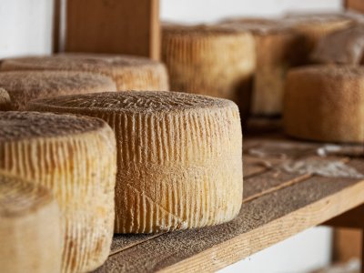 Try cheese pecorino on Sardinia
