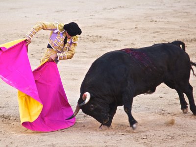 See a bullfight in Madrid