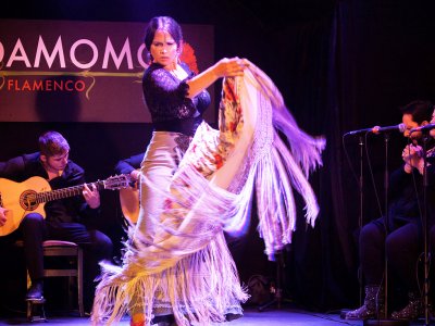 See flamenco in a tablao in Madrid
